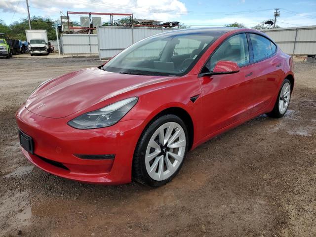 tesla model 3 2023 5yj3e1ea1pf429939