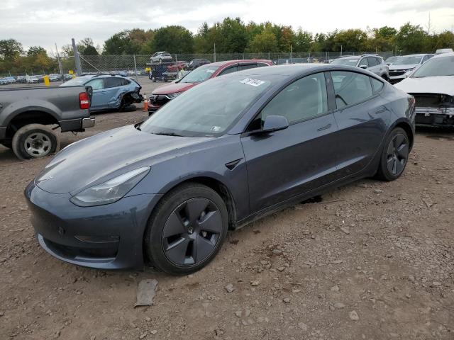 tesla model 3 2023 5yj3e1ea1pf484102