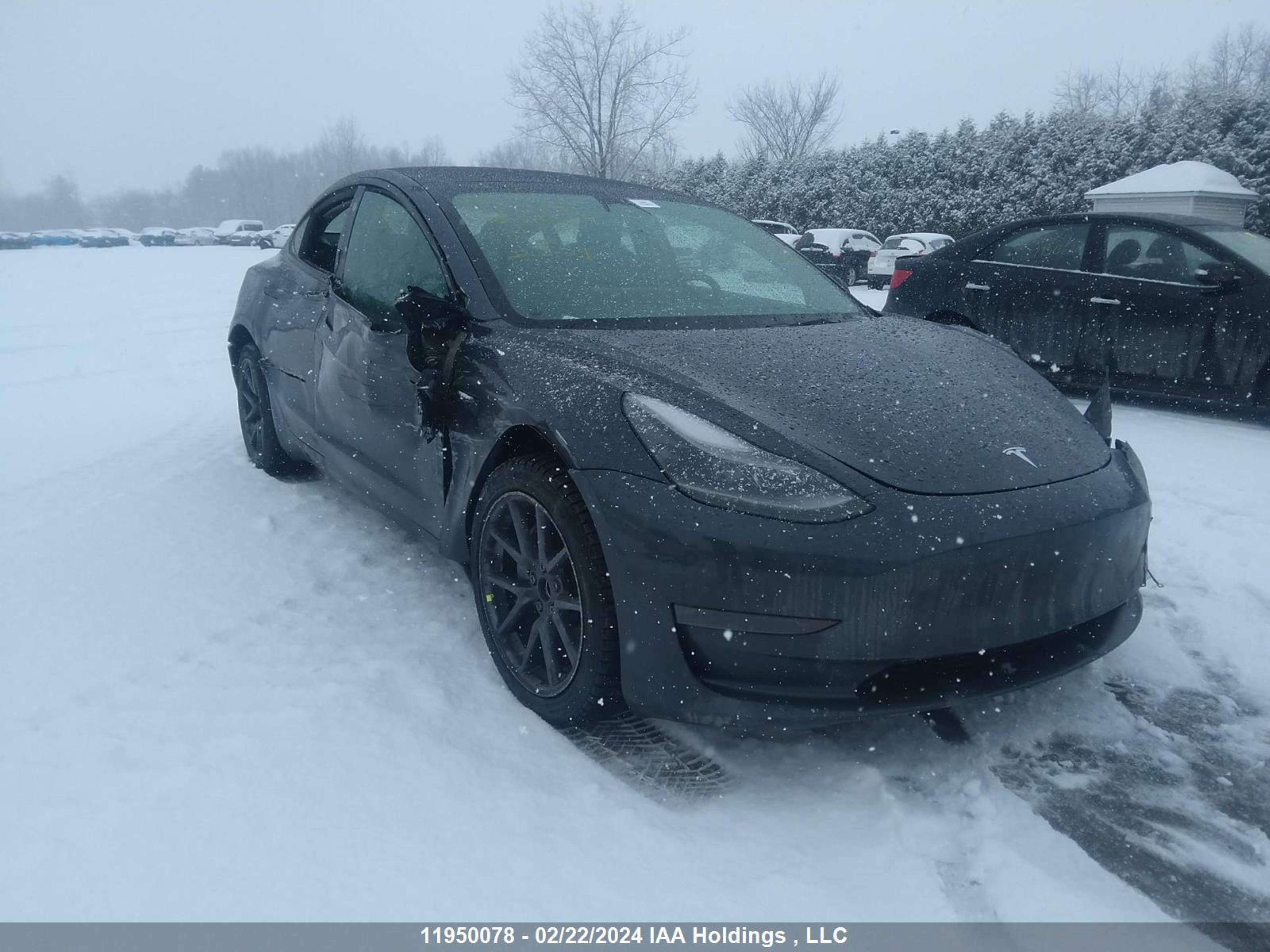 tesla model 3 2023 5yj3e1ea2pf396059