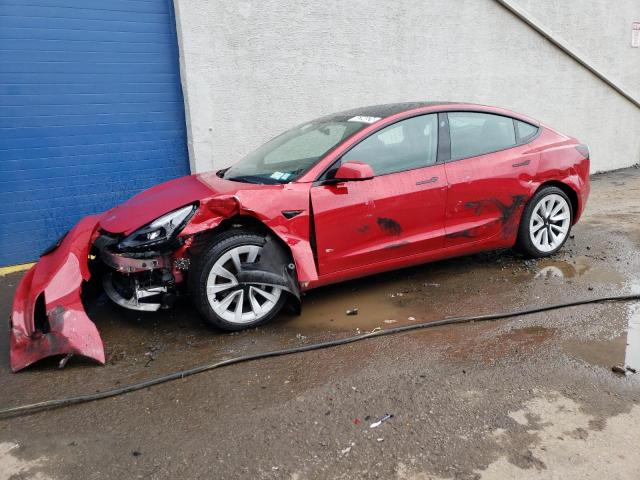 tesla model 3 2023 5yj3e1ea2pf436303