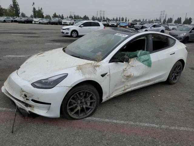 tesla model 3 2023 5yj3e1ea2pf583513