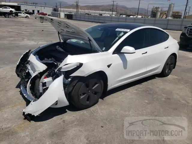 tesla model 3 2021 5yj3e1ea3mf065759