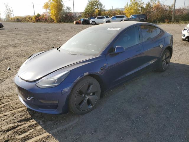 tesla model 3 2021 5yj3e1ea3mf090466