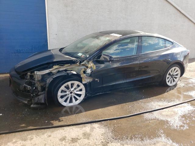 tesla model 3 2023 5yj3e1ea4pf448727