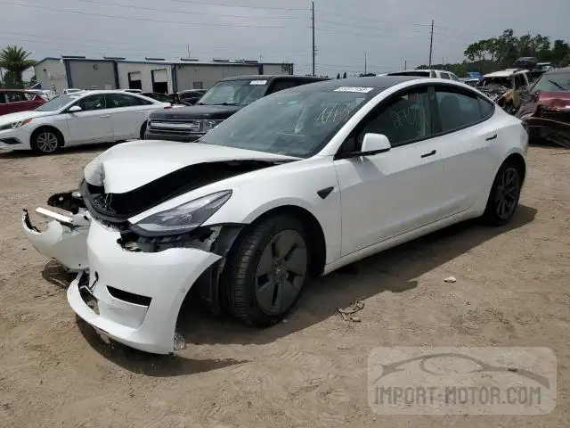 tesla model 3 2021 5yj3e1ea5mf097533