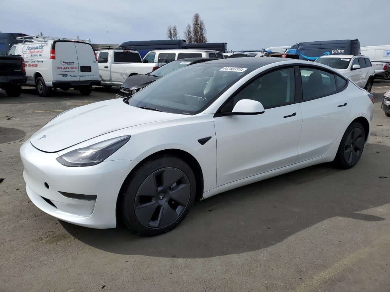 tesla model 3 2023 5yj3e1ea5pf403506