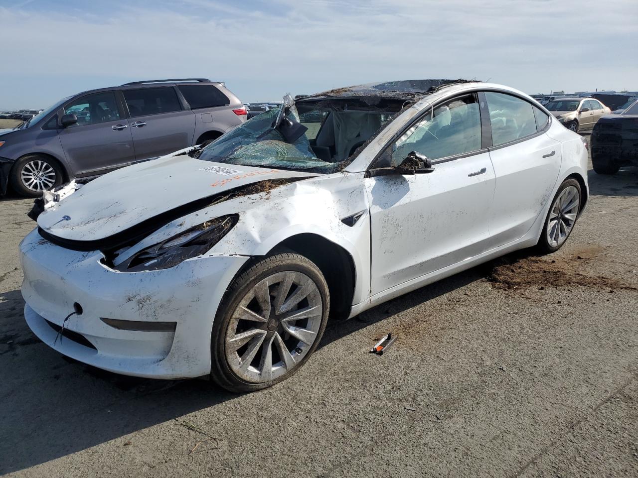 tesla model 3 2023 5yj3e1ea5pf497788