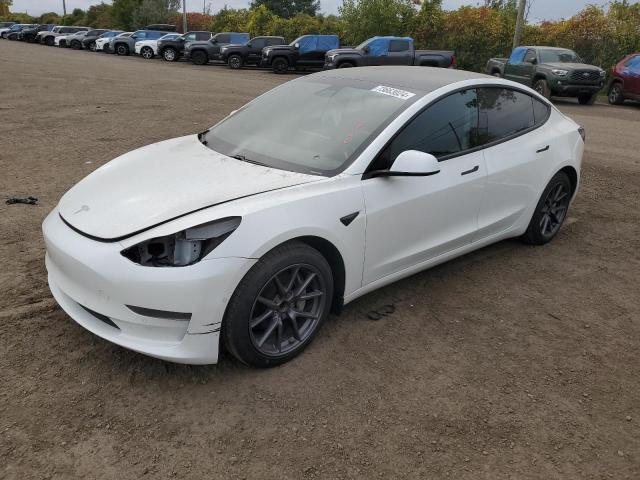 tesla model 3 2021 5yj3e1ea7mf031002