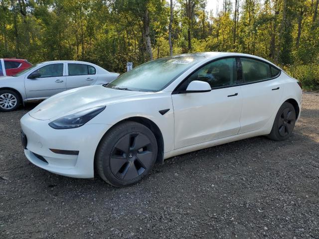 tesla model 3 2023 5yj3e1ea7pf499025