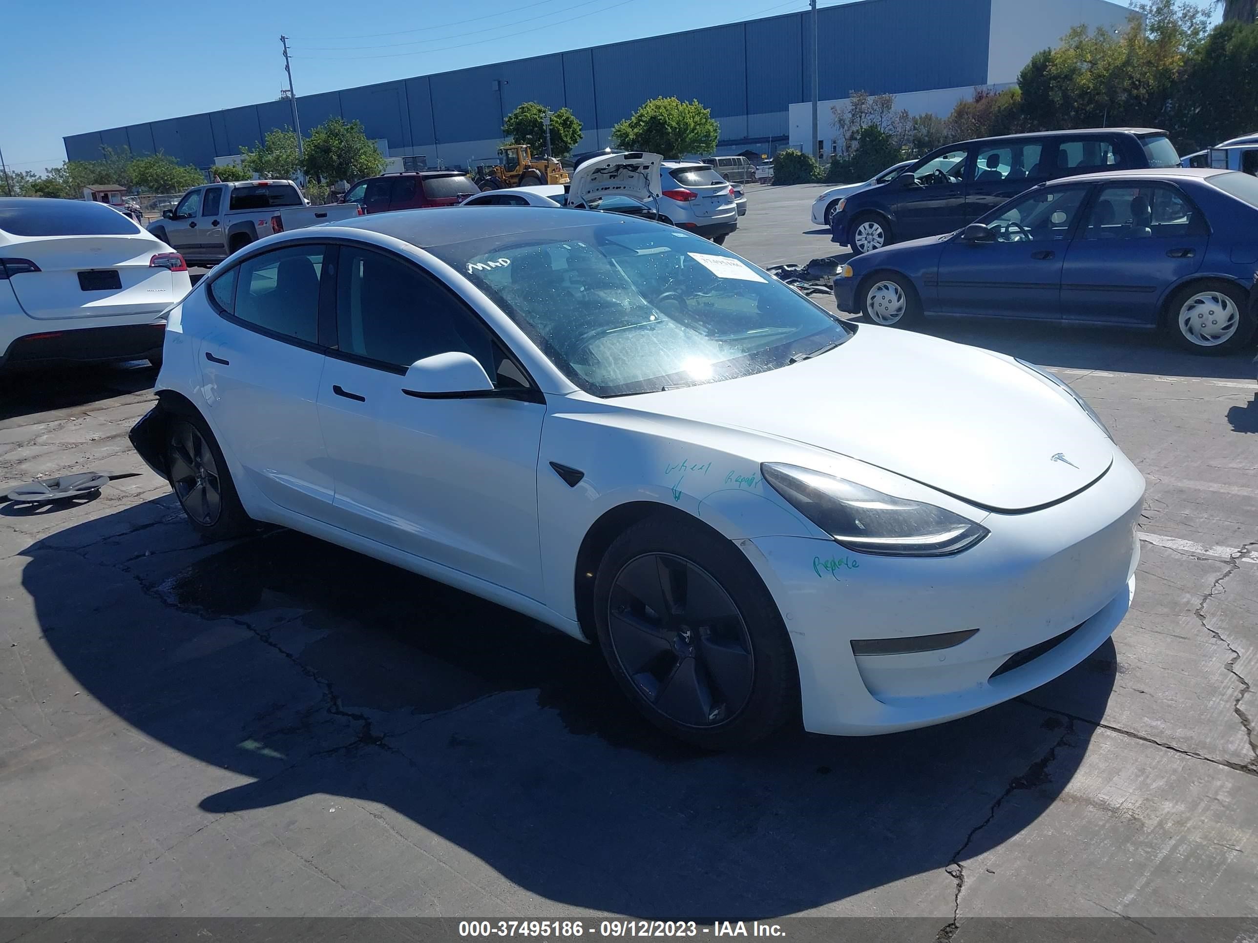 tesla model 3 2021 5yj3e1ea8mf003502