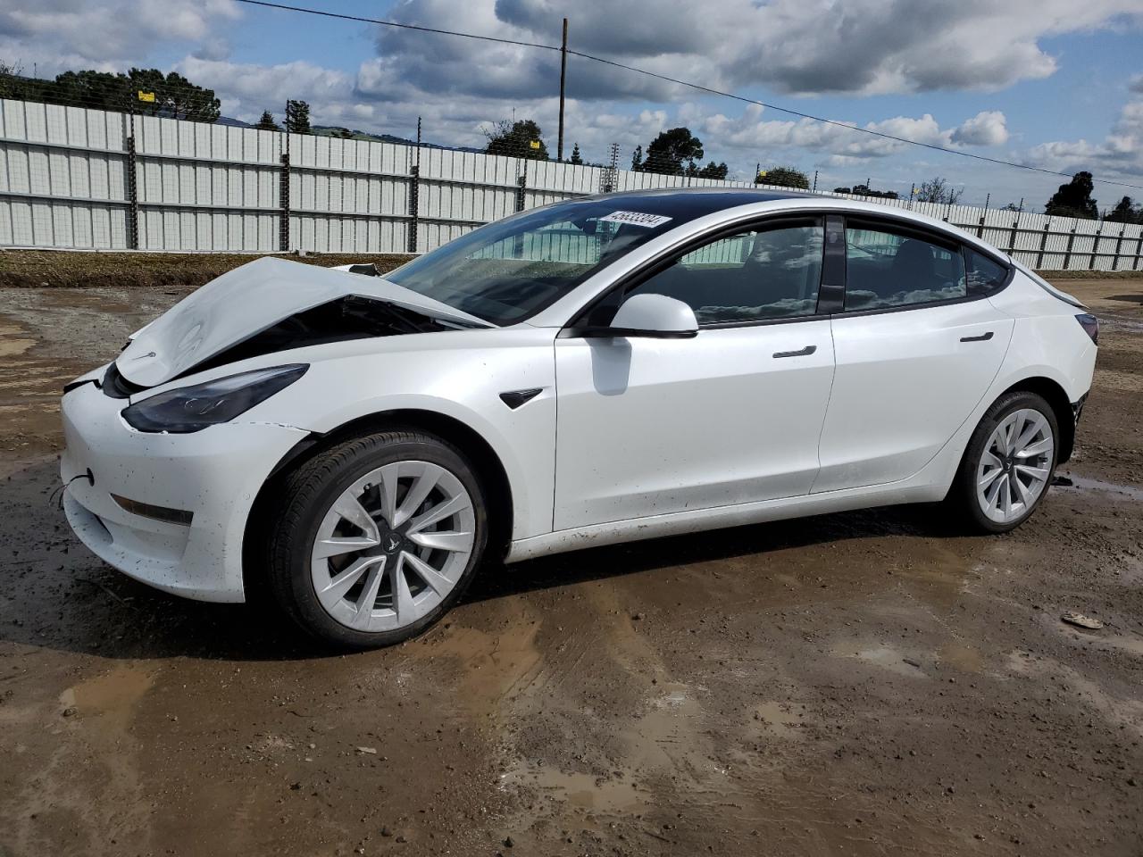 tesla model 3 2022 5yj3e1ea8nf300786