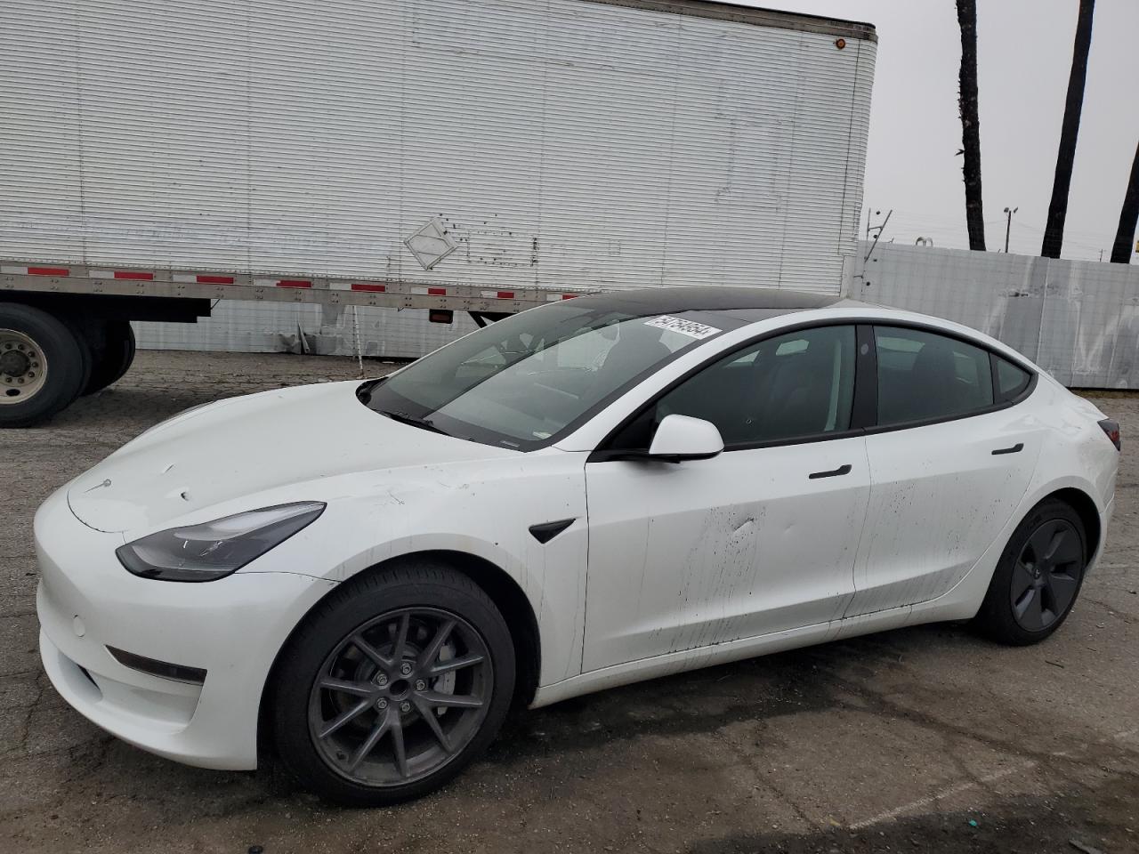 tesla model 3 2023 5yj3e1ea8pf402253