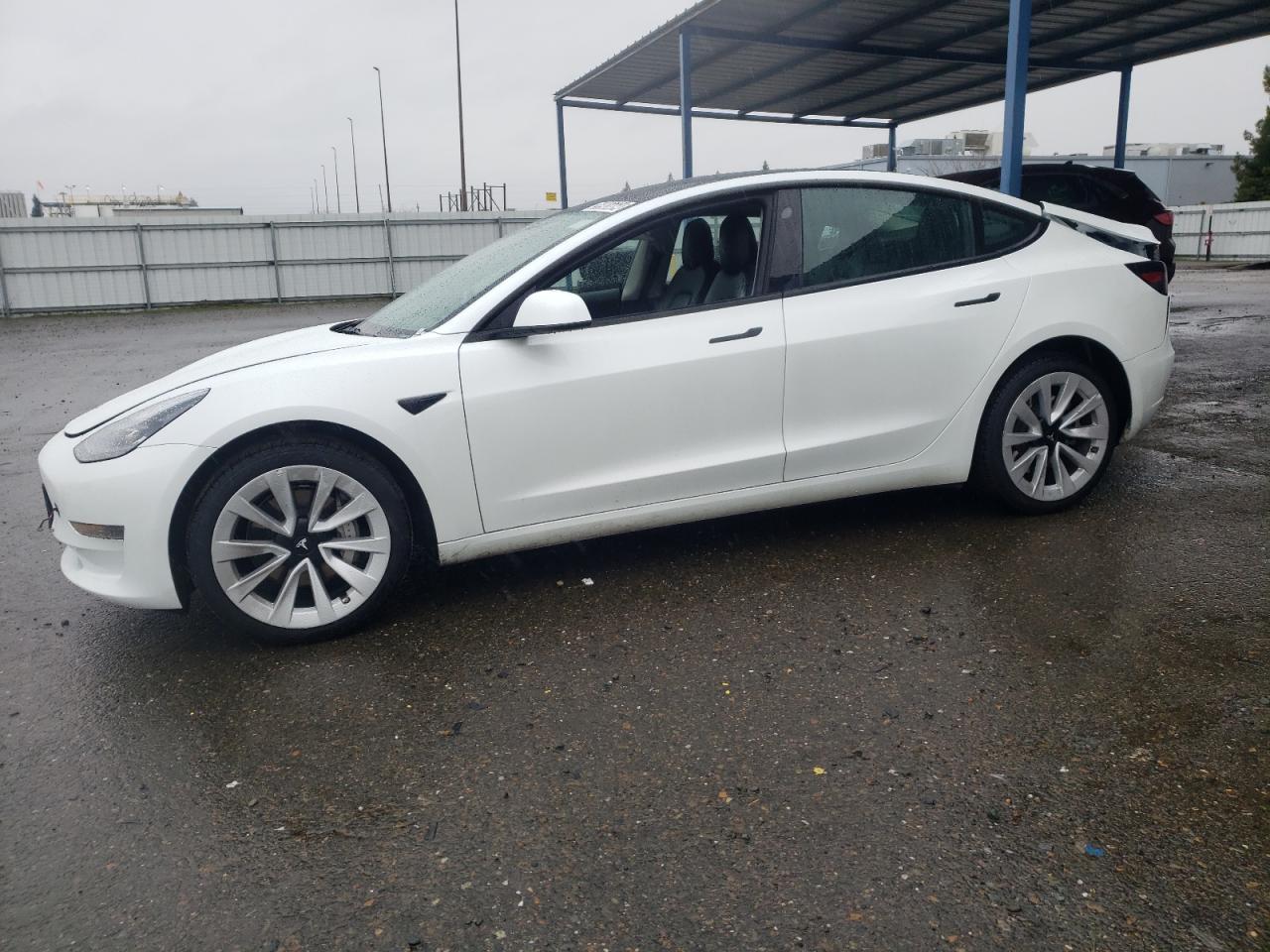 tesla model 3 2023 5yj3e1ea8pf458189