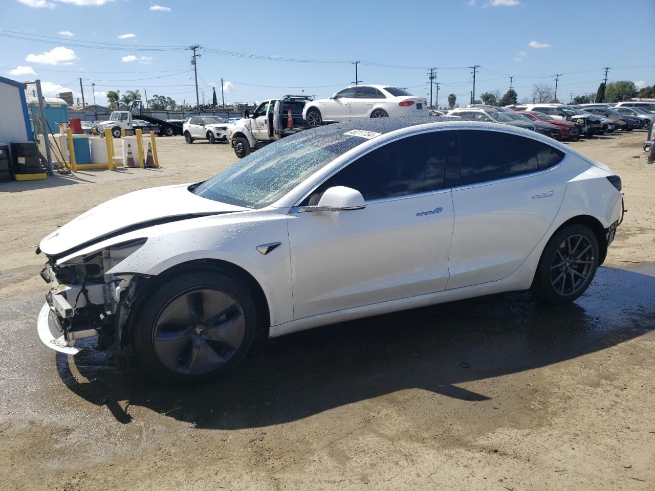 tesla model 3 2019 5yj3e1ea9kf397184