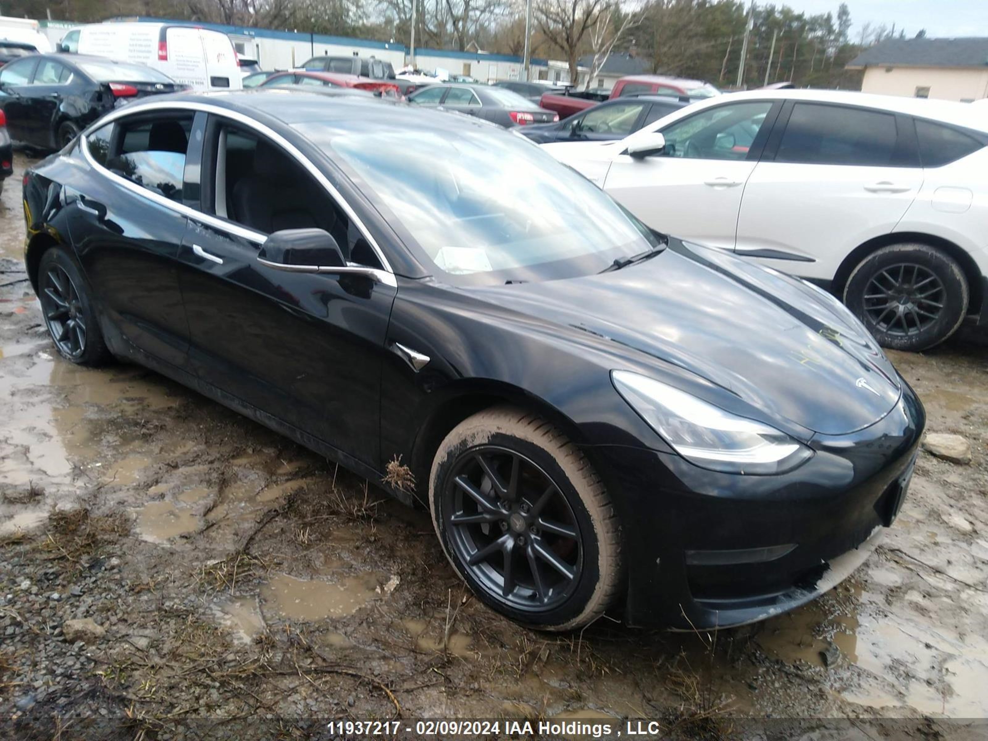 tesla model 3 2019 5yj3e1ea9kf413917