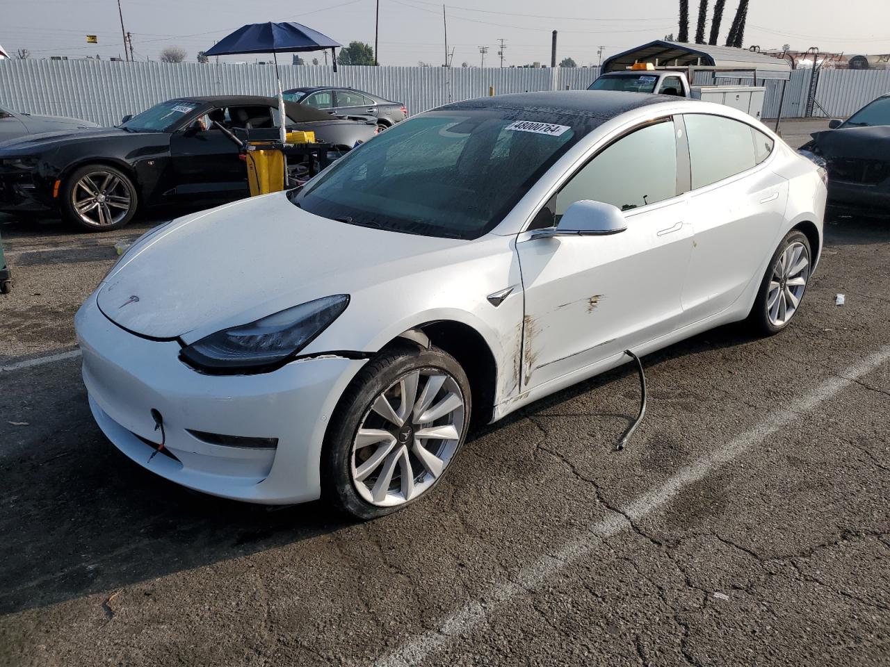 tesla model 3 2019 5yj3e1ea9kf508056