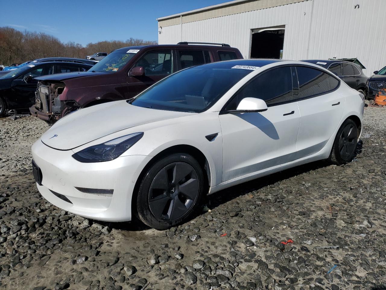 tesla model 3 2021 5yj3e1ea9mf989011