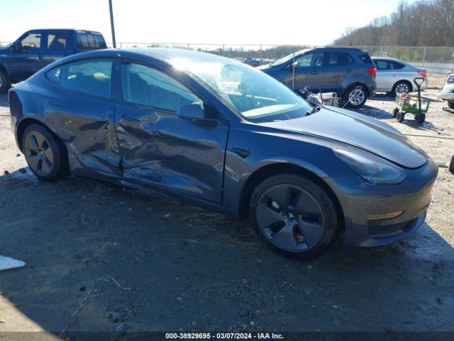 tesla model 3 2023 5yj3e1ea9pf408840