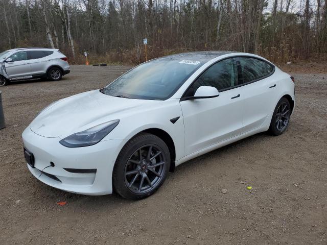 tesla model 3 2021 5yj3e1eaxmf083899