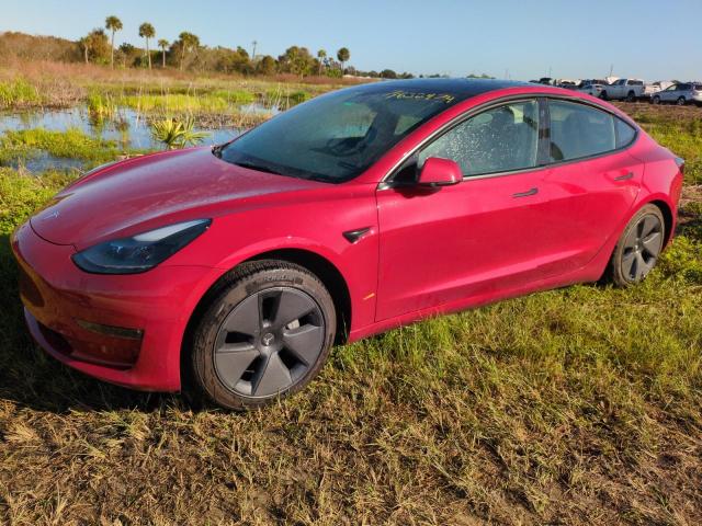 tesla model 3 2021 5yj3e1eb0mf087789