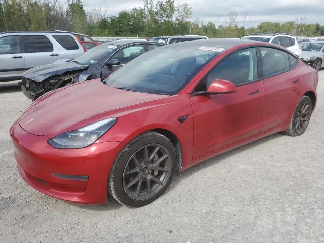 tesla model 3 2021 5yj3e1eb0mf974454