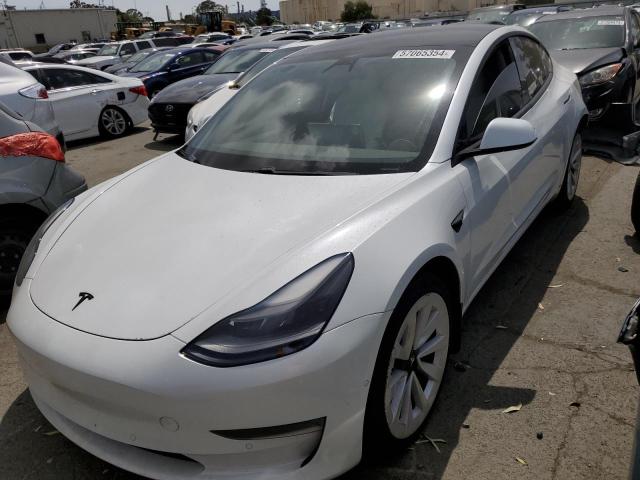 tesla model 3 2021 5yj3e1eb2mf004136