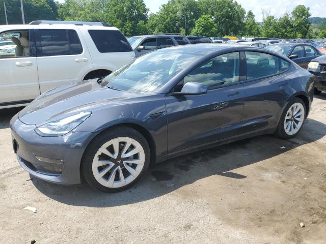 tesla model 3 2021 5yj3e1eb3mf855605