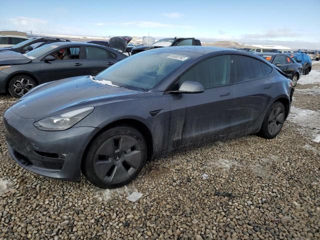 tesla model 3 2021 5yj3e1eb4mf019513