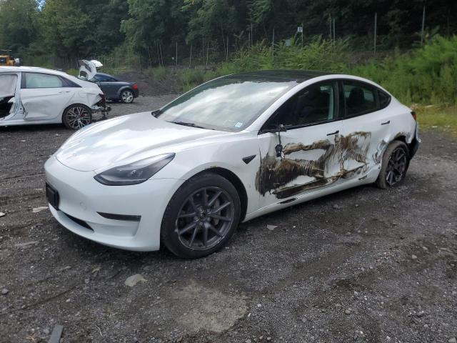 tesla model 3 2023 5yj3e1eb6pf611094