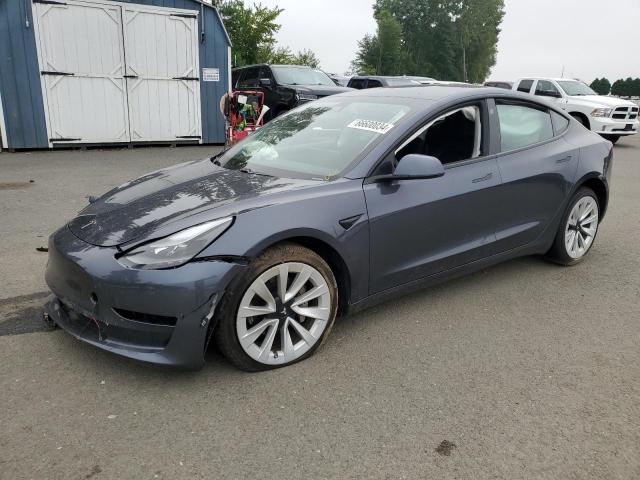 tesla model 3 2021 5yj3e1eb7mf031459