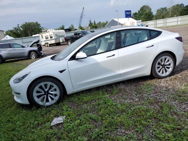 tesla model 3 2023 5yj3e1eb9pf636507