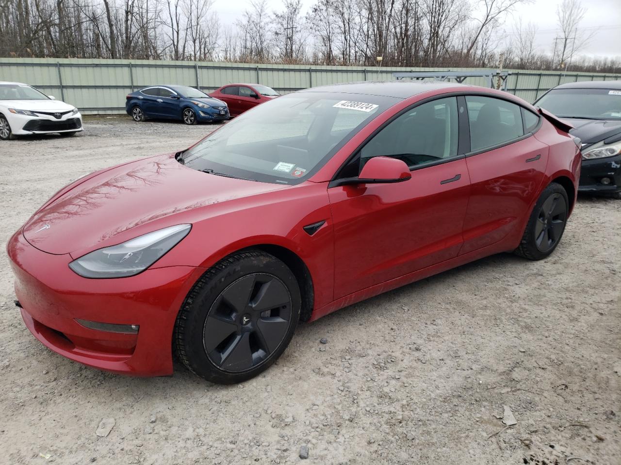 tesla model 3 2021 5yj3e1ebxmf901799