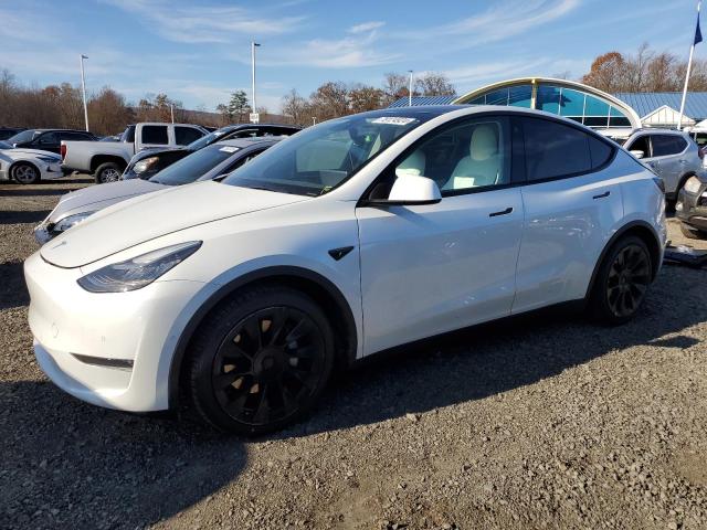 tesla model y 2021 5yjygaee1mf144429