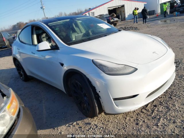 tesla model y 2021 5yjygaee2mf188813