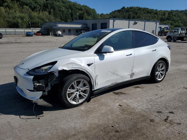 tesla model y 2021 5yjygaee6mf149142