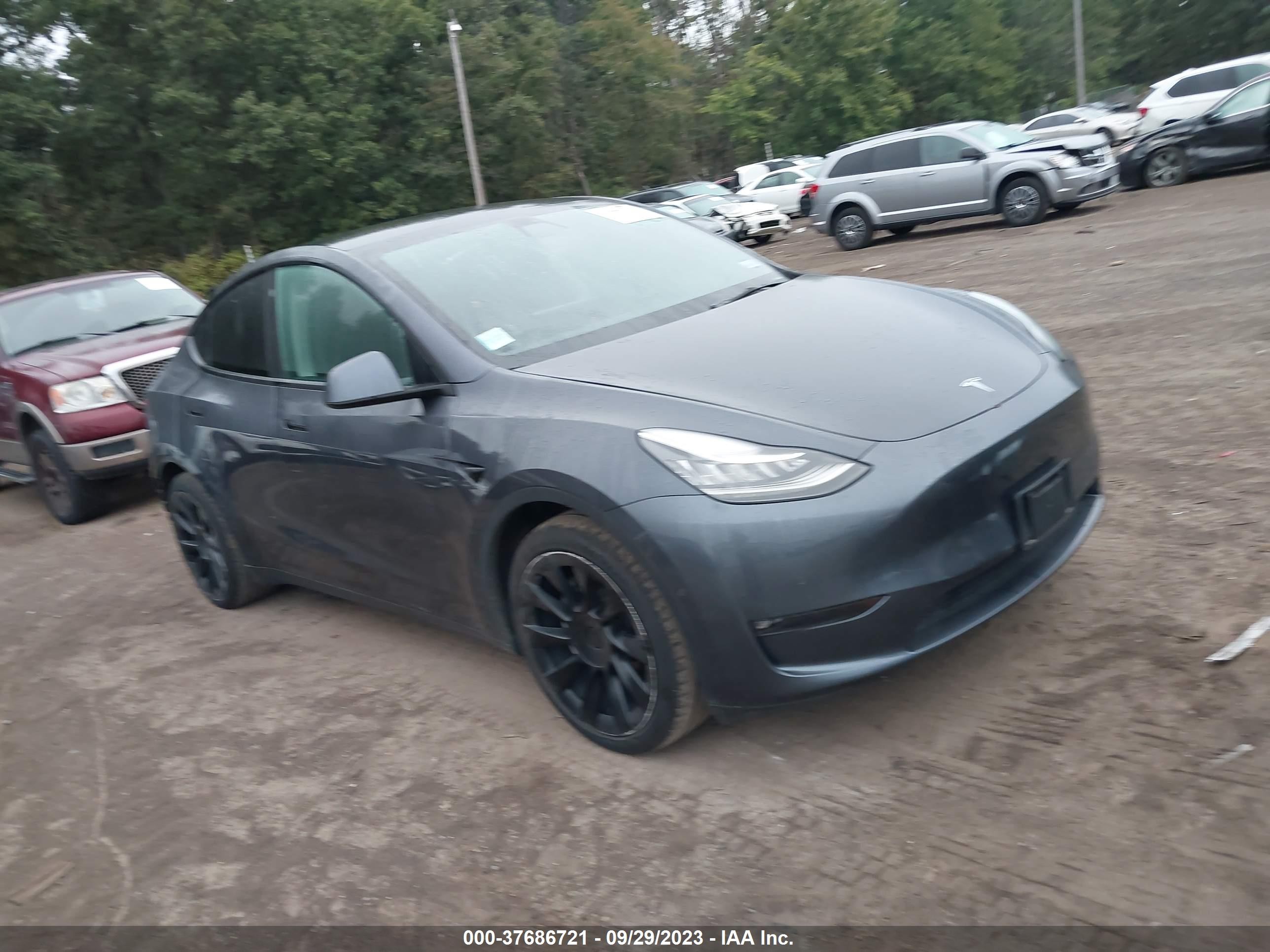 tesla model y 2021 5yjygaee7mf143544