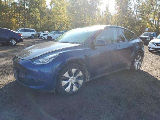 tesla model y 2021 5yjygaee9mf185312