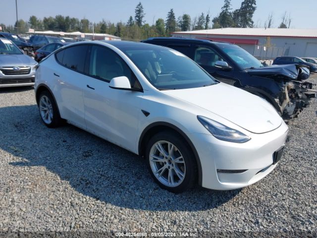 tesla model y 2021 5yjygaeexmf204529