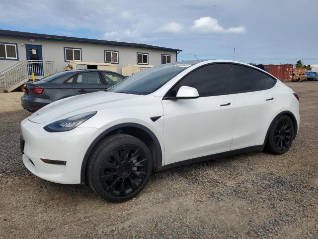 tesla model y 2021 5yjygded4mf104001