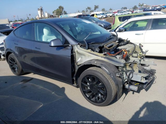 tesla model y 2021 5yjygded8mf181356