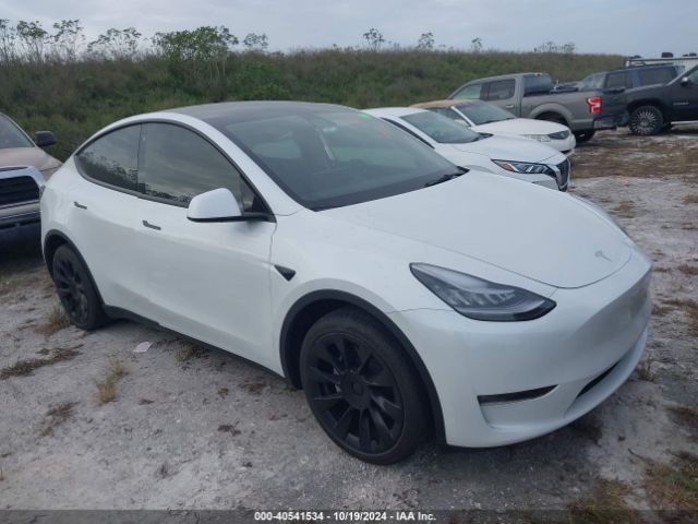 tesla model y 2021 5yjygdee1mf112176