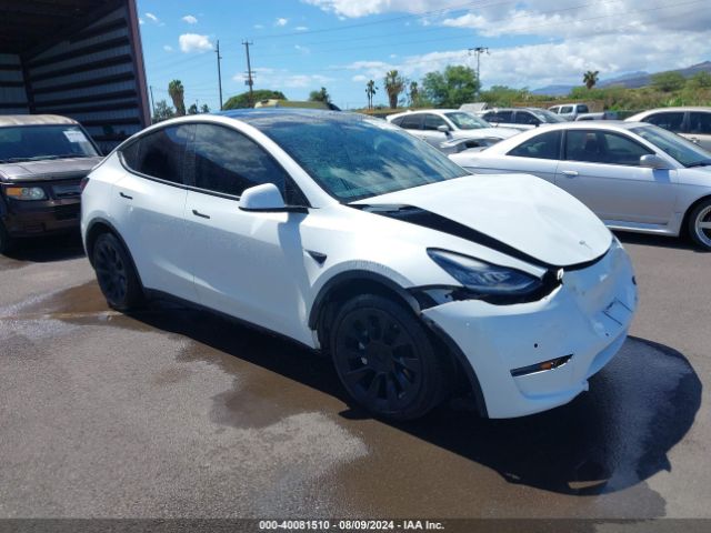 tesla model y 2021 5yjygdee2mf087059