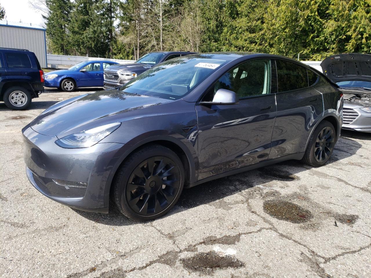 tesla model y 2021 5yjygdee3mf084123