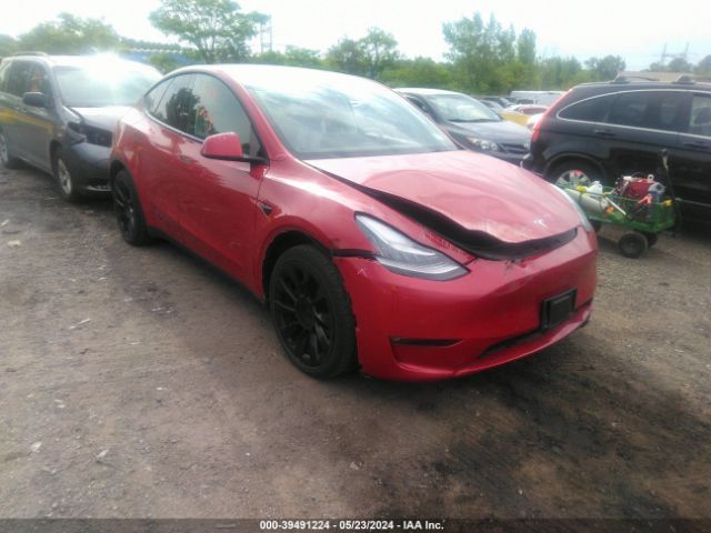 tesla model y 2021 5yjygdee3mf184299