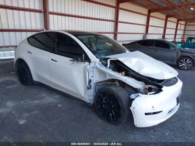 tesla model y 2021 5yjygdee3mf255520