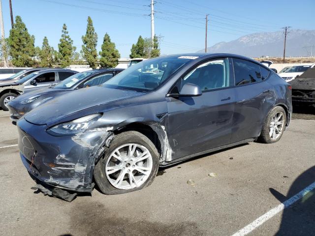 tesla model y 2021 5yjygdee4mf146547