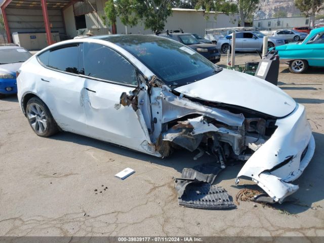 tesla model y 2021 5yjygdee4mf213941