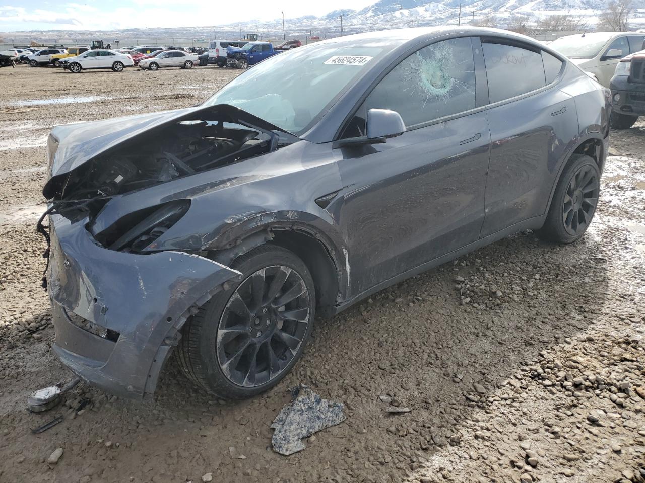 tesla model y 2021 5yjygdee4mf282581