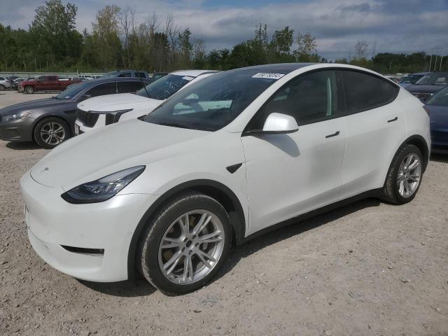 tesla model y 2021 5yjygdee6mf194115