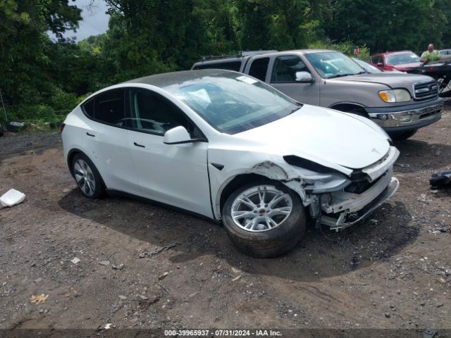 tesla model y 2021 5yjygdee6mf255074